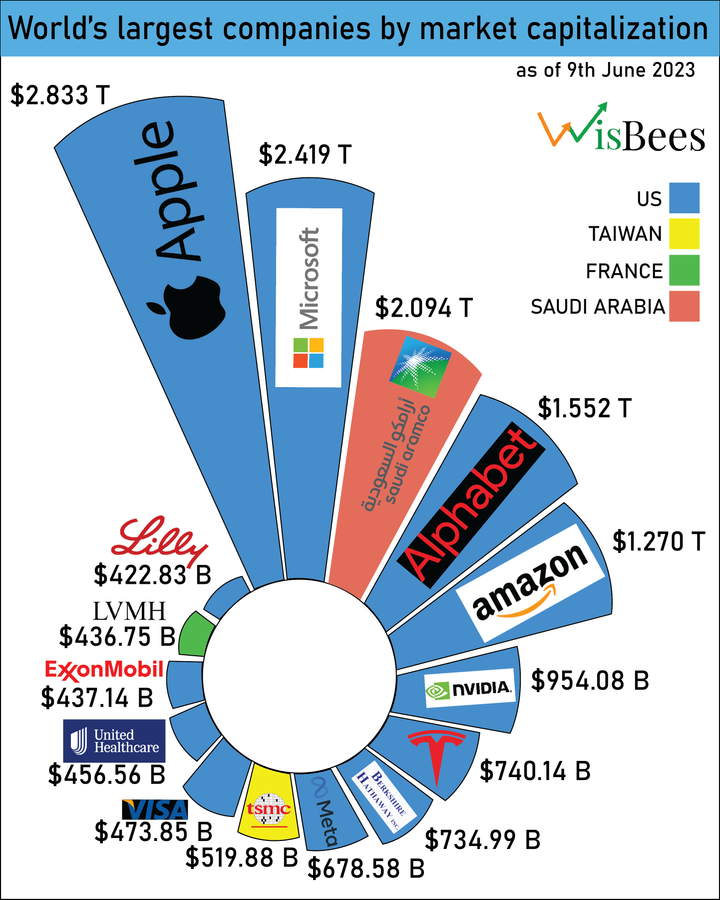 What is the largest company in the world by market capitalisation?
